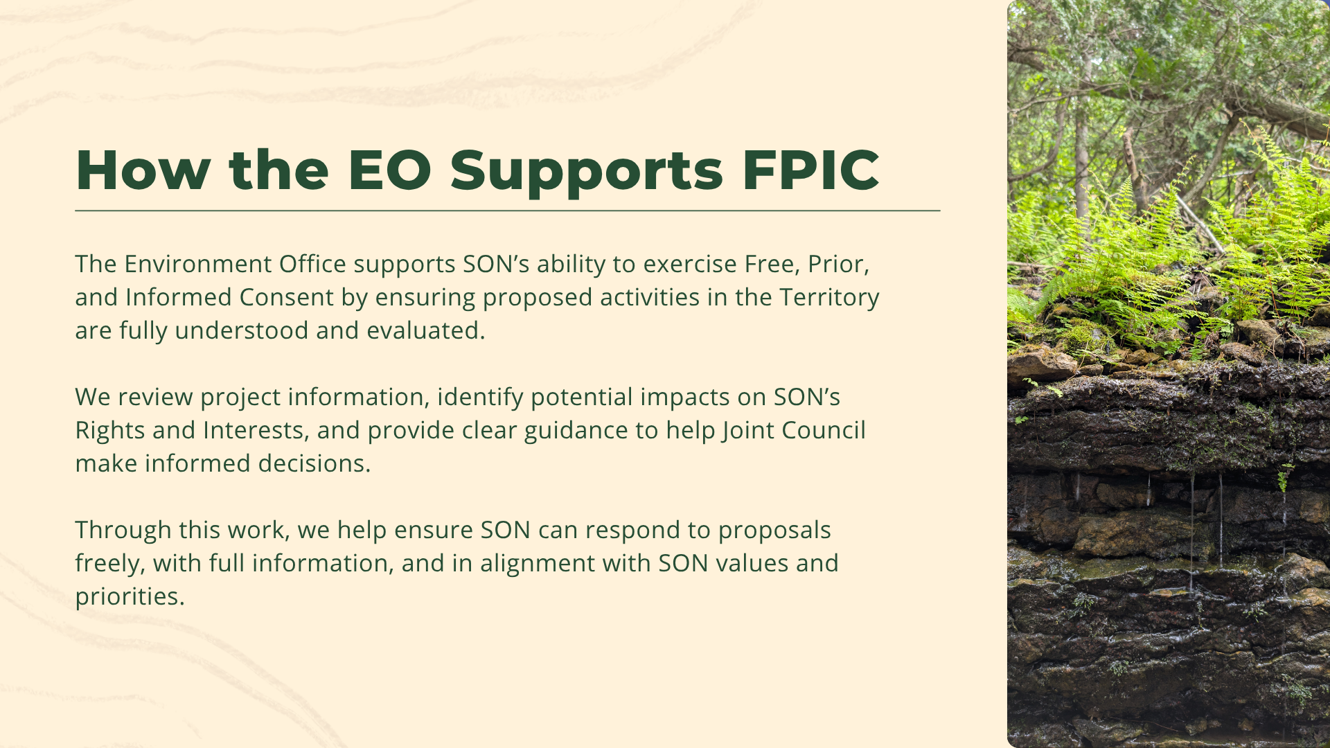 FPIC 5