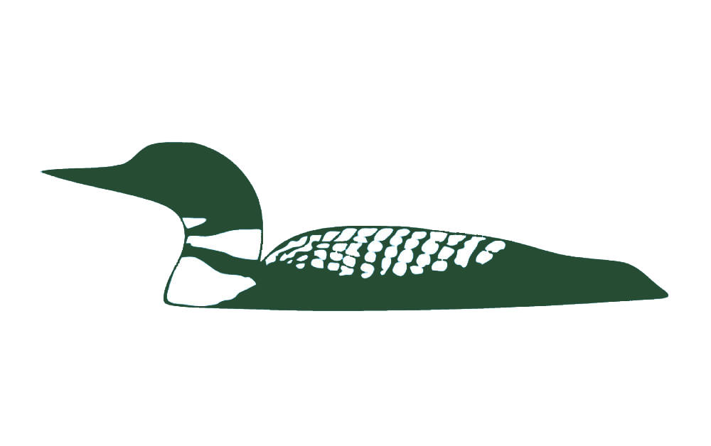 Stylized image of a loon