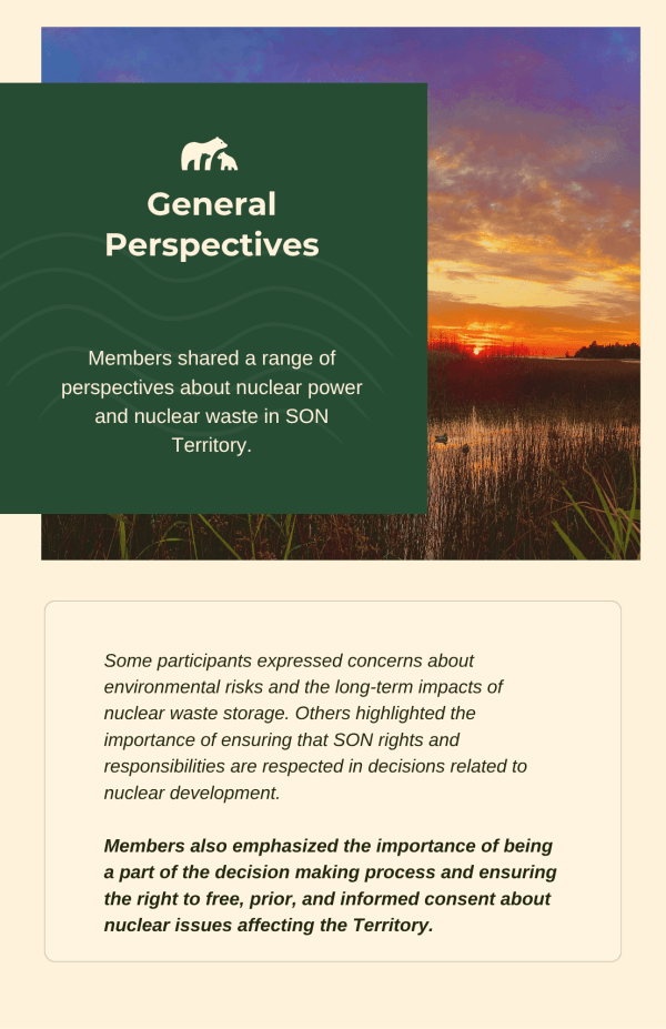 Nuclear Survey Report page 10