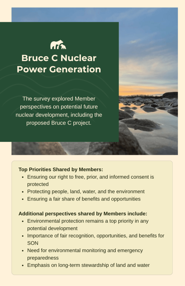 Nuclear Survey Report page 14