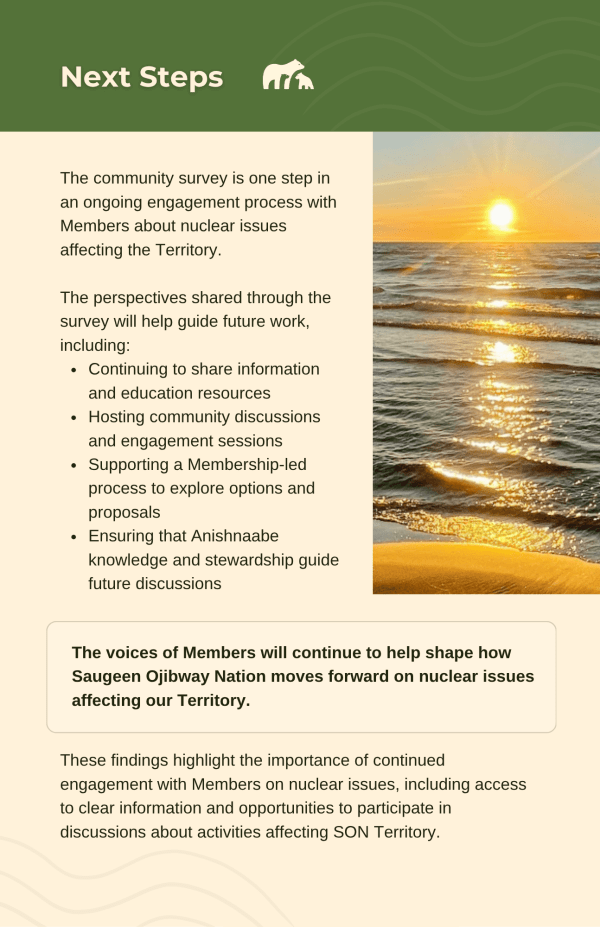Nuclear Survey Report page 15