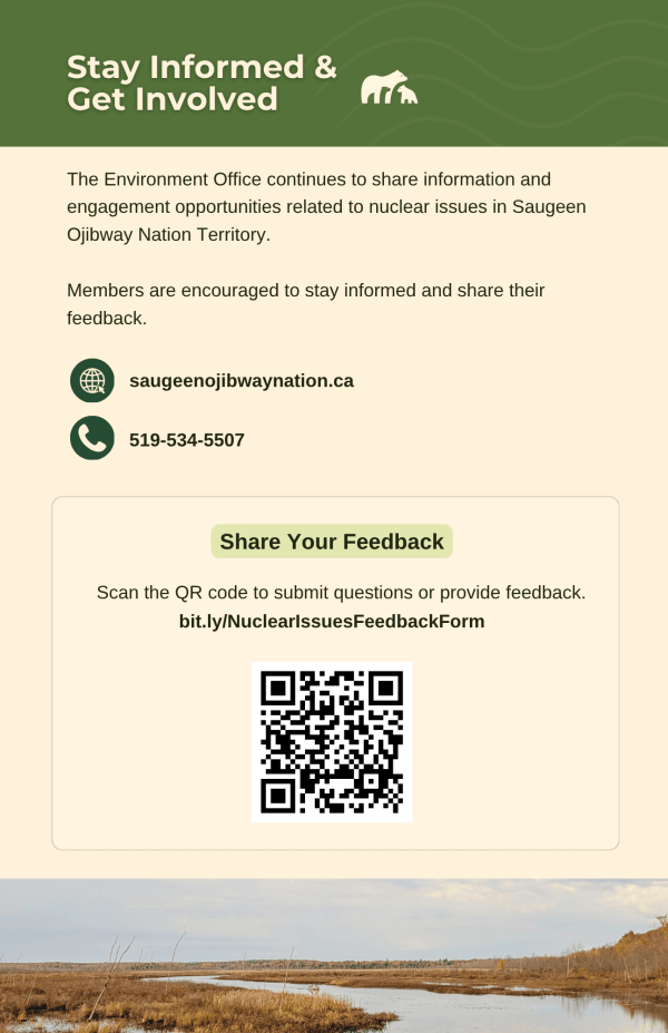 Nuclear Survey Report page 16