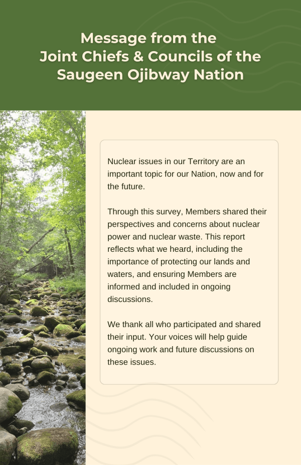 Nuclear Survey Report page 2