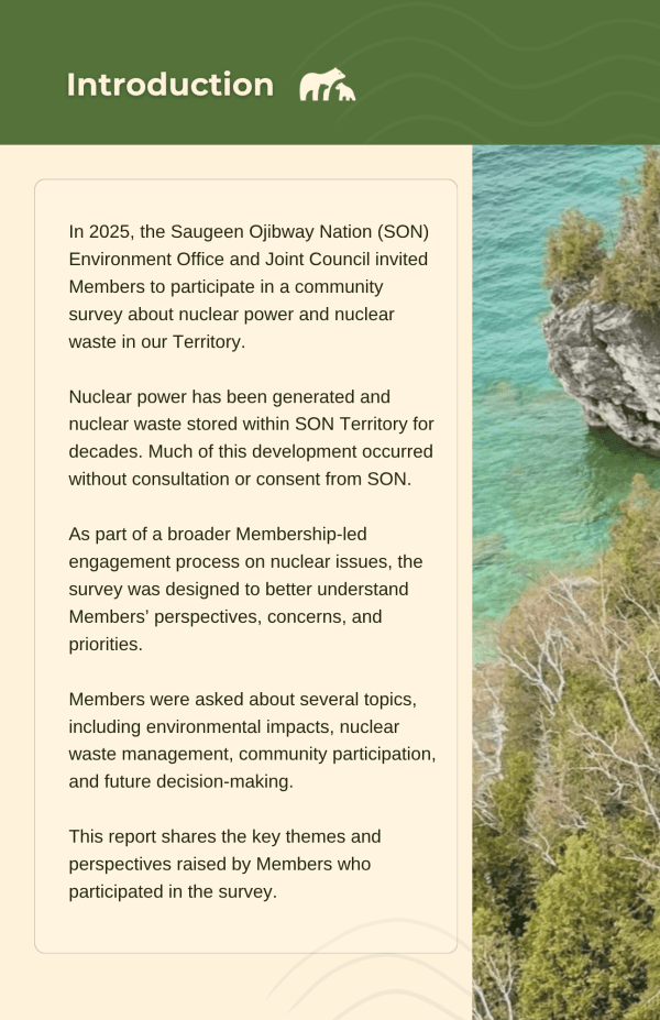 Nuclear Survey Report page 3