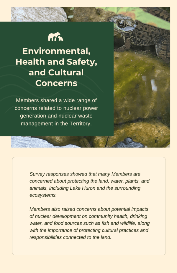 Nuclear Survey Report page 6