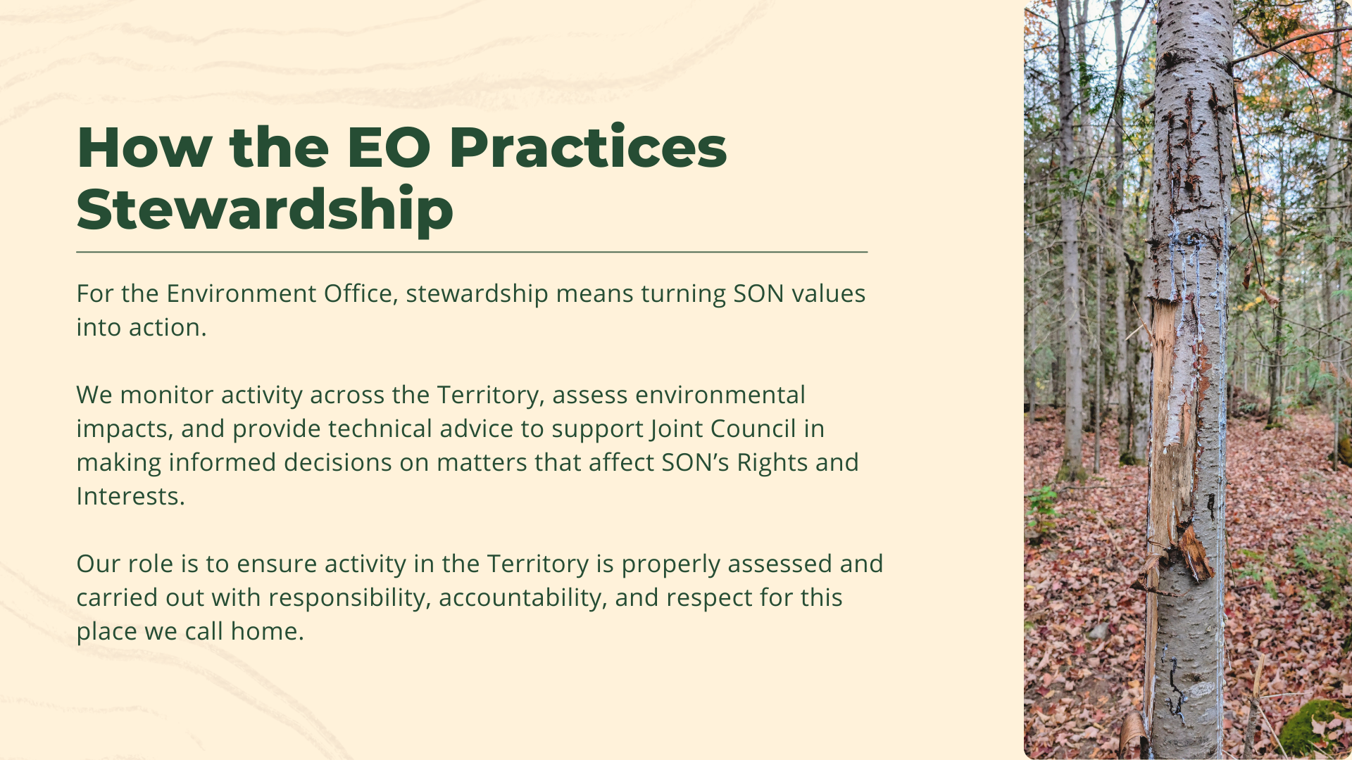 How the EO Practices Stewardship