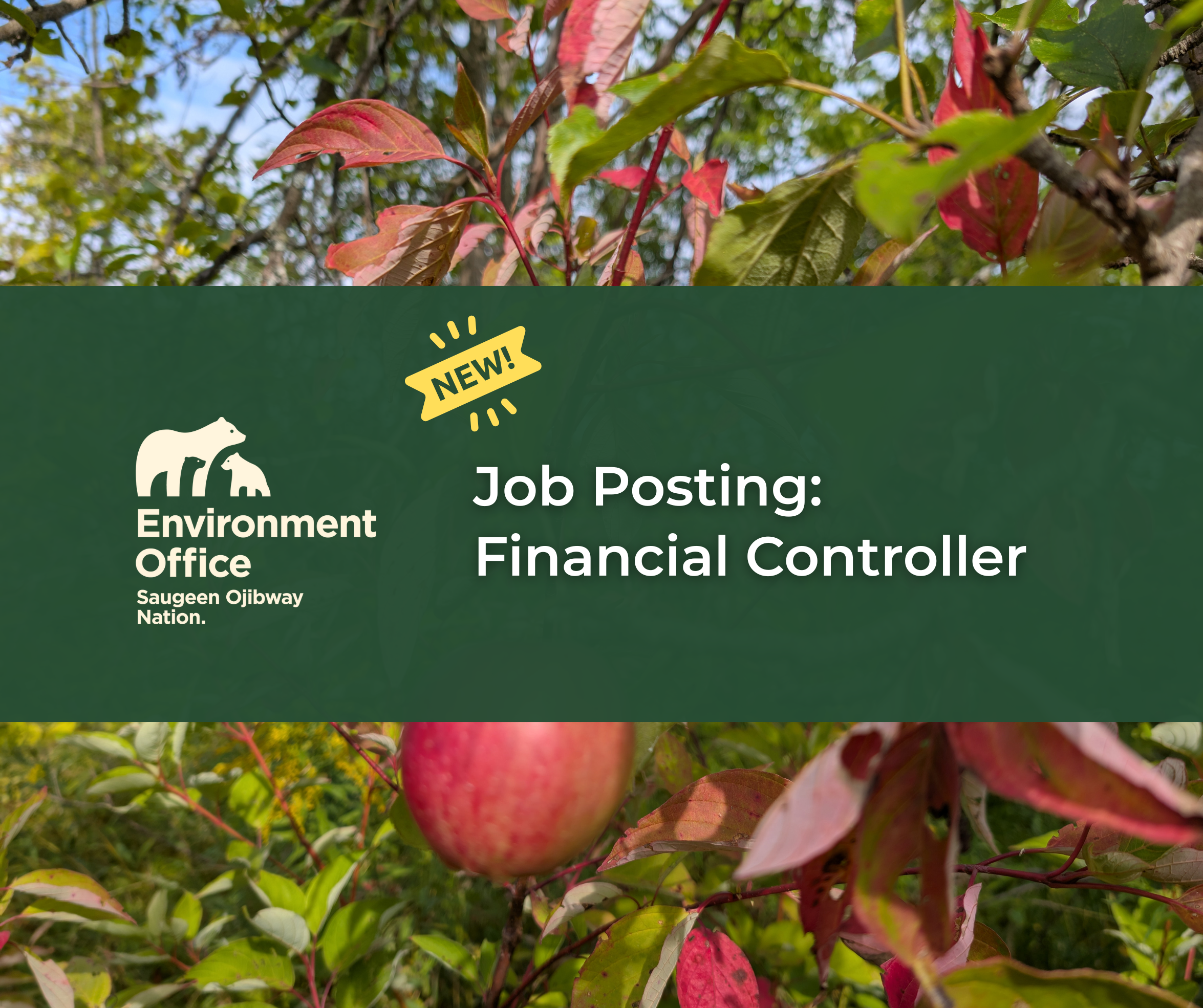 financial controller