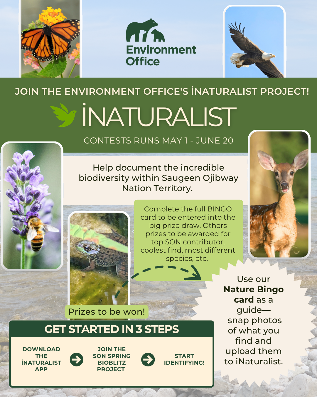Spring BioBlitz
