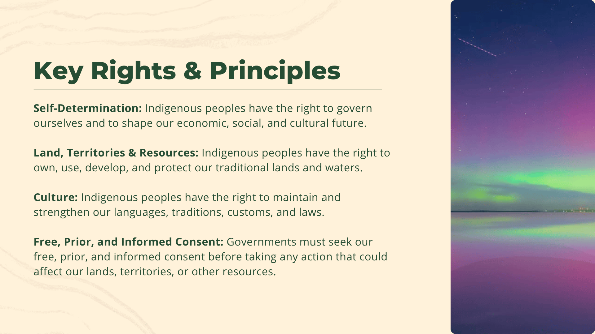 UNDRIP 3