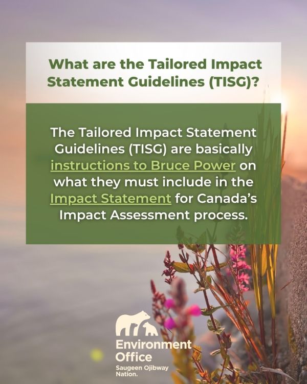 TISG slide 4