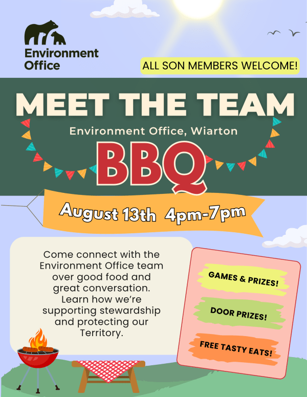 bbq